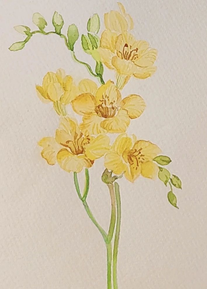 花卉2.jpg